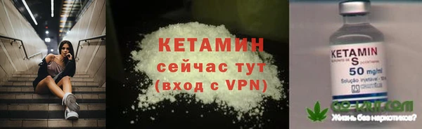 прущие грибы Белокуриха