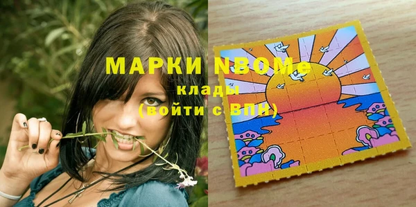 прущие грибы Белокуриха