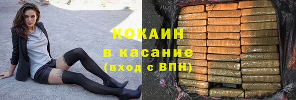 прущие грибы Белокуриха
