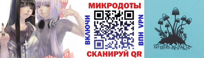 Псилоцибиновые грибы GOLDEN TEACHER  наркота  Минеральные Воды 